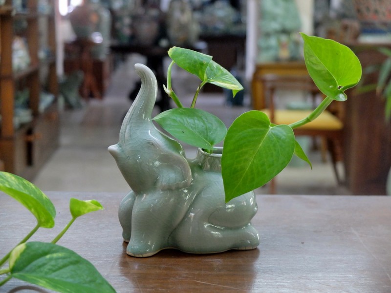 Celadon Elephant vase